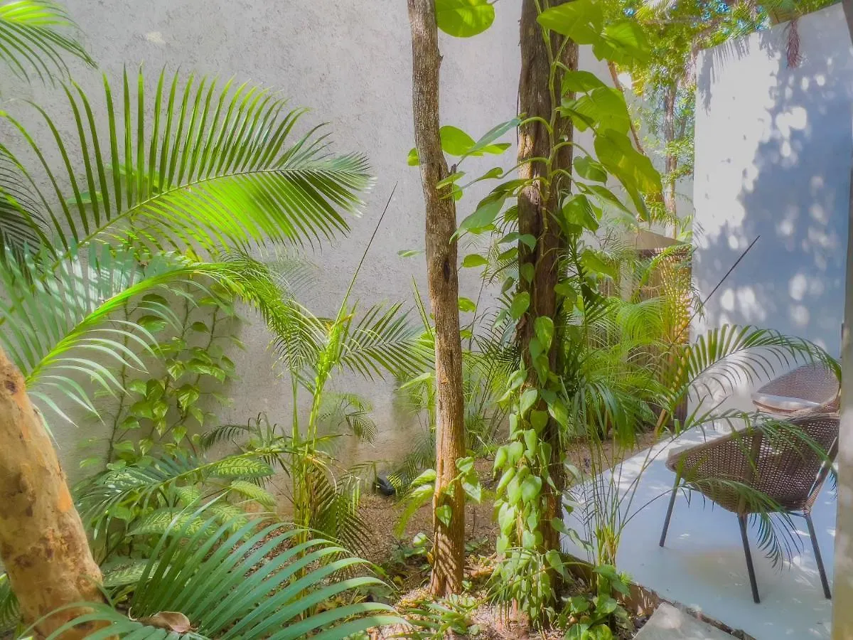 Kabah Luxury Apartment Tulum Mexico